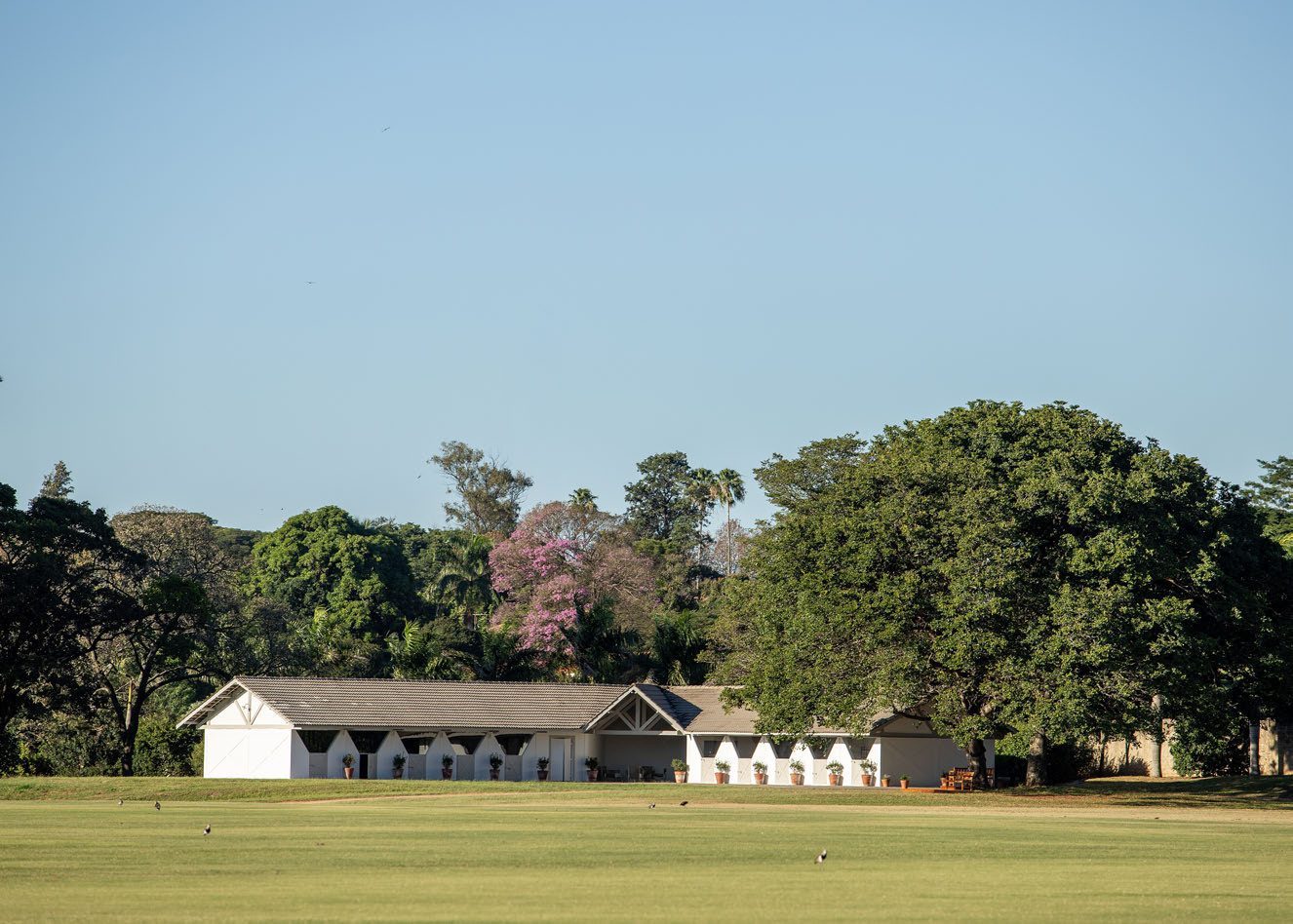 Foto de um campo gramado com casarão e árvores na região de Helvetia