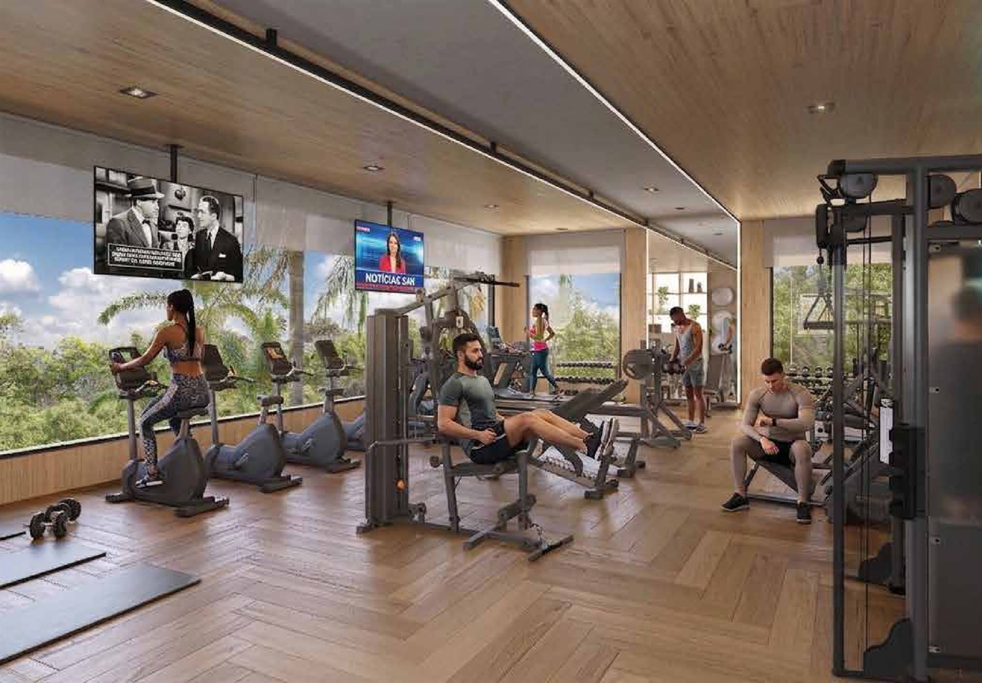 Academia completa Manai Bosque